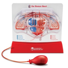 Model serca LER3535 Learning Resources